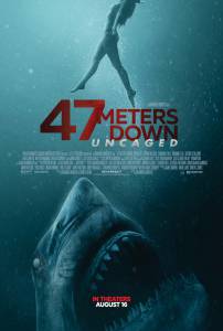    2 (2019)  