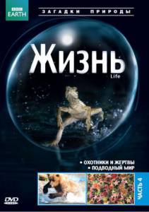   BBC:  ( 2009  ...) Life (2009 (1 )) 