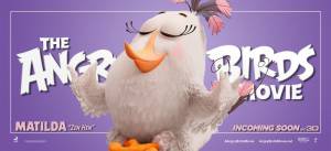   Angry Birds   - The Angry Birds Movie 