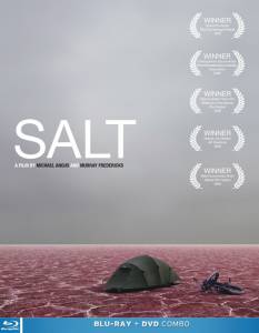    - Salt / 2009