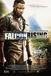     / Falcon Rising