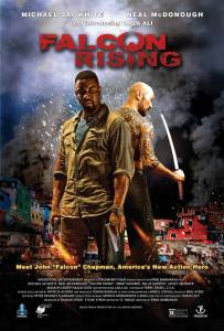      / Falcon Rising