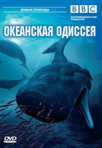 BBC:   () / Ocean Odyssey