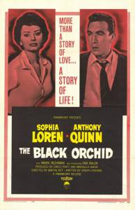   / The Black Orchid