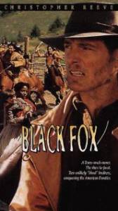 Чёрный лис (ТВ) / Black Fox