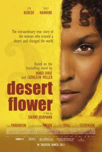   / Desert Flower