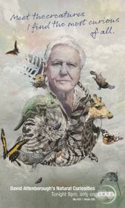 .    ( 2013  ...) / David Attenborough's Natural Curiosities