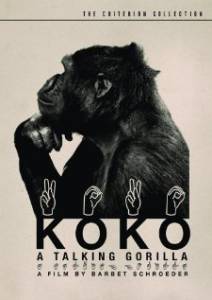 ,   / Koko, le gorille qui parle
