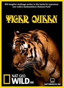   () / Tiger Queen