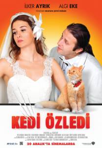    / Kedi zledi