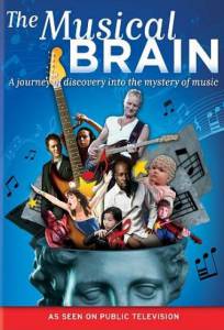    / The Musical Brain
