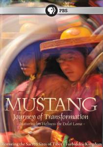 :   / Mustang: Journey of Transformation