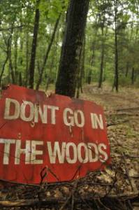     / Don't Go in the Woods