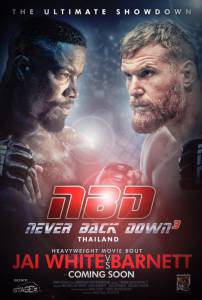   3 / Never Back Down3