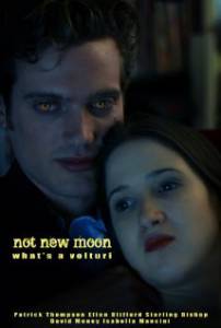 Not New Moon. What's a Volturi? () / 