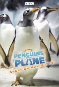   :    (-) / Penguins on a Plane: Great Animal Moves