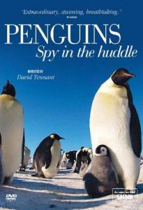 :    (-) / Penguins: Spy in the Huddle