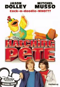    () / Hatching Pete