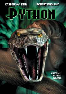  () / Python