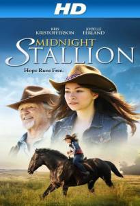   / Midnight Stallion