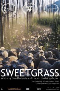   / Sweetgrass