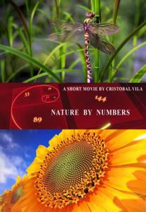    / Nature by Numbers