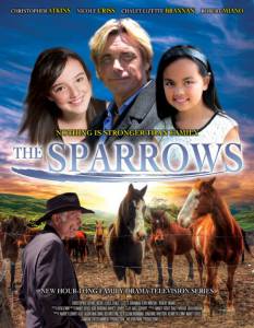   () / The Sparrows