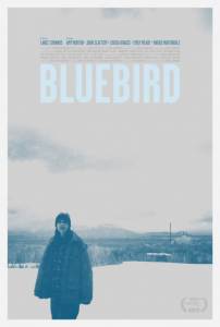   / Bluebird