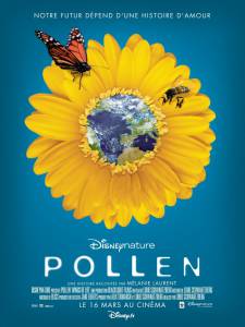  :  ,    / Pollen
