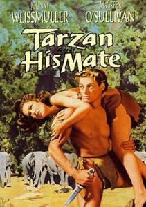     / Tarzan and His Mate