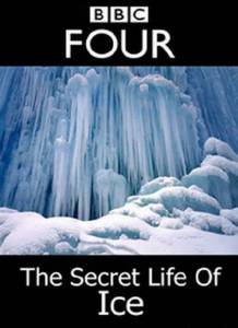    () / The Secret Life of Ice