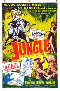 The Jungle / 