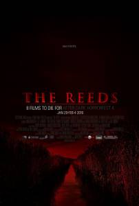  / The Reeds