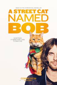      / A Street Cat Named Bob