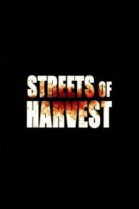   / Streets of Harvest