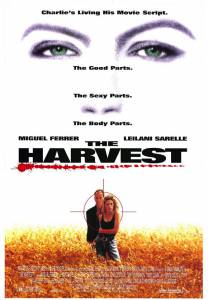  / The Harvest