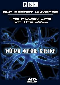  :    () / Our Secret Universe: The Hidden Life of the Cell