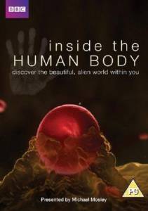    () / Inside the Human Body