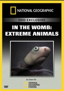   :   () / In the Womb: Extreme Animals